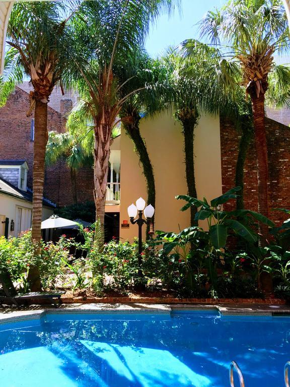 Chateau Orleans New Orleans Exteriör bild